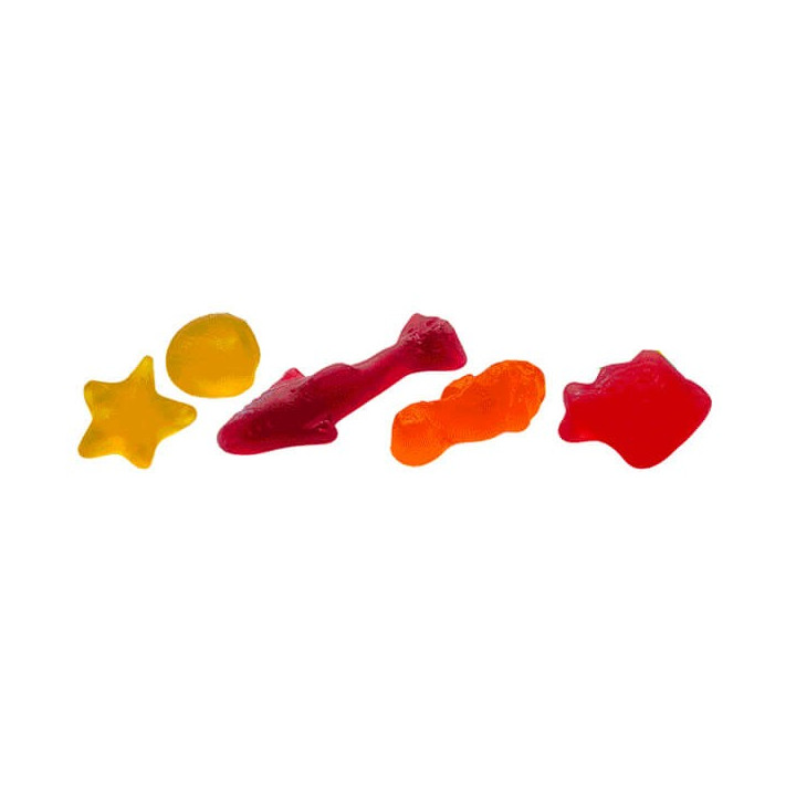 Bebeto Ocean Park Jelly Gum