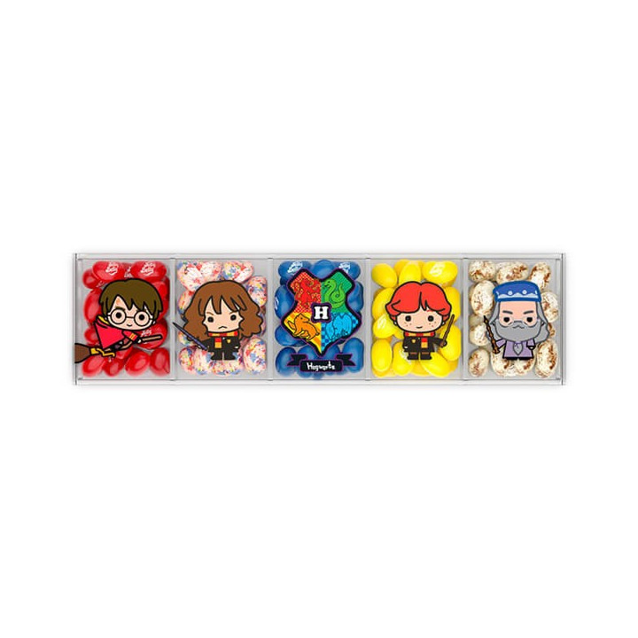 Harry Potter & Friends Acrylic Gift Box