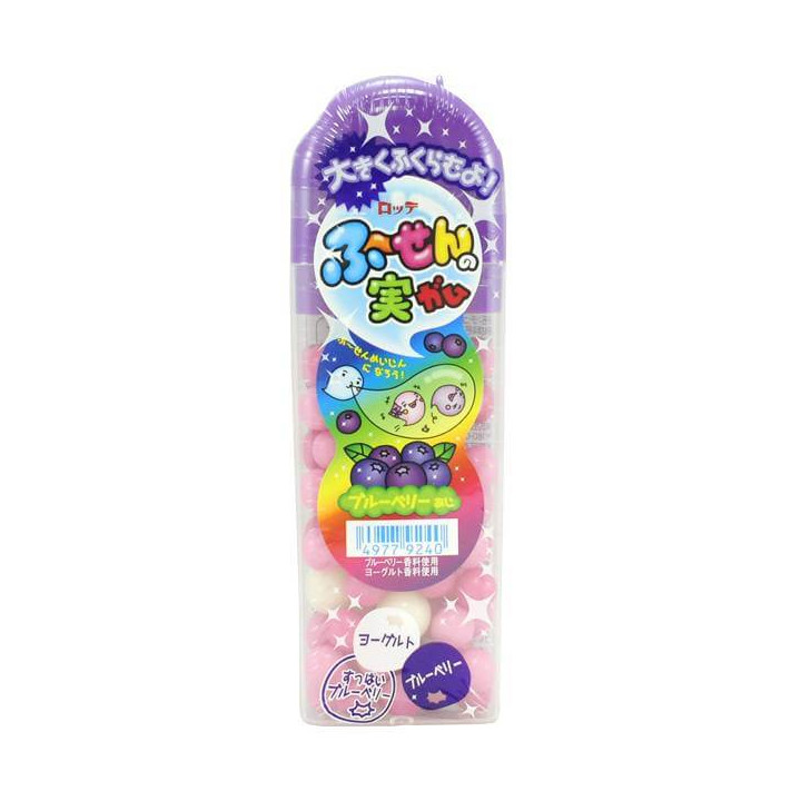 Lotte Fusen No Mi Blueberry Chewing Gum 35 g