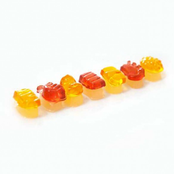 Meiji Sushi Nigi Nigi Osushi Yasan DIY 22 g