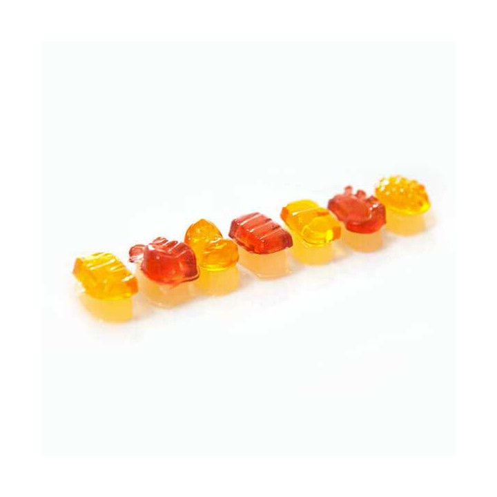 Meiji Sushi Nigi Nigi Osushi Yasan DIY 22 g