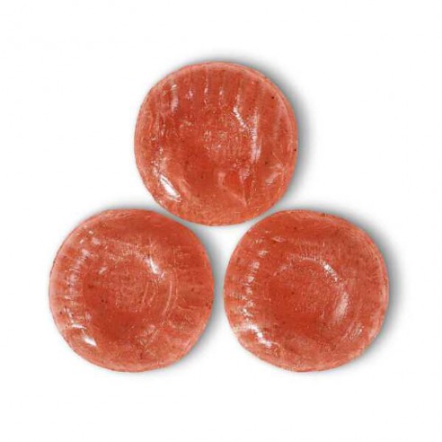 Sathers Cinnamon Discs 102 g