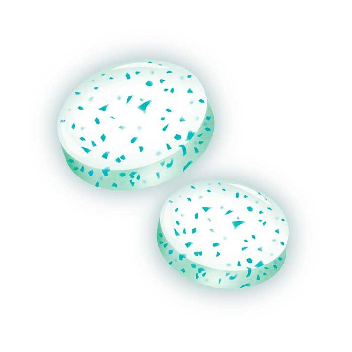 Ice Breakers Wintergreen 42 g
