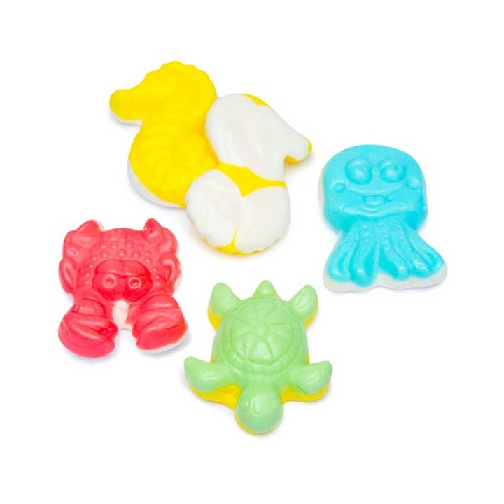 eFrutti Mini Sea Creatures Share Size